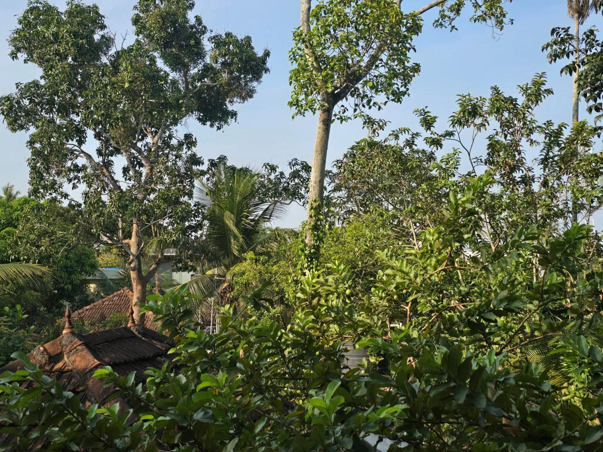 Bella Homestay Kerala Alappuzha Экстерьер фото