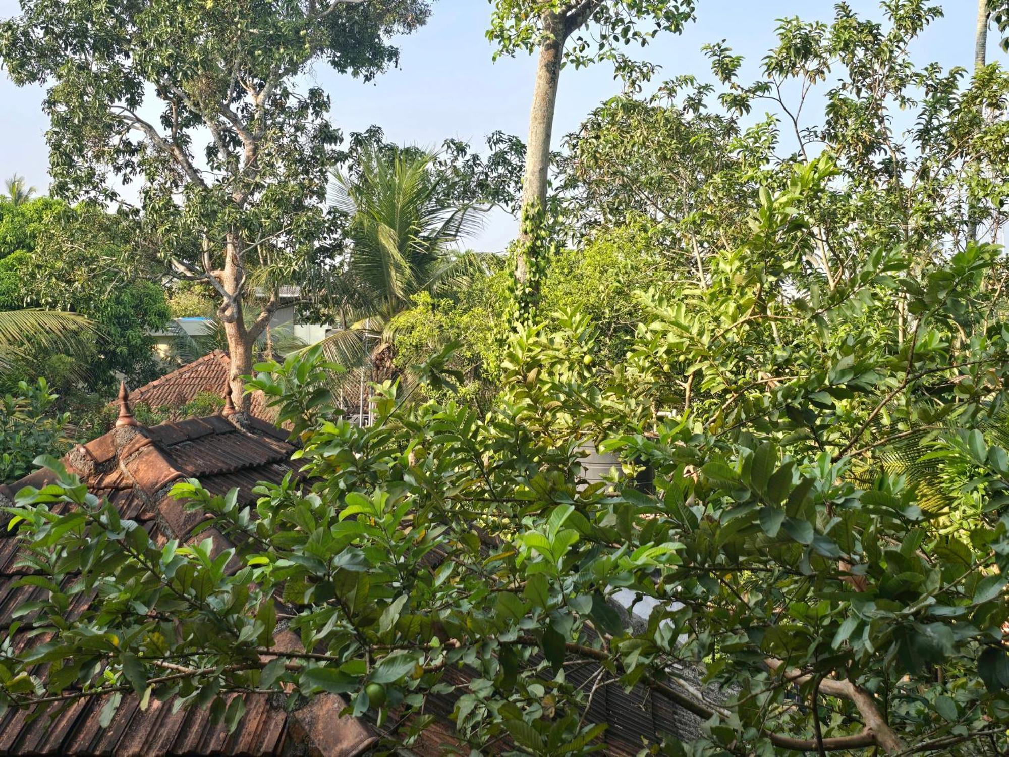 Bella Homestay Kerala Alappuzha Экстерьер фото
