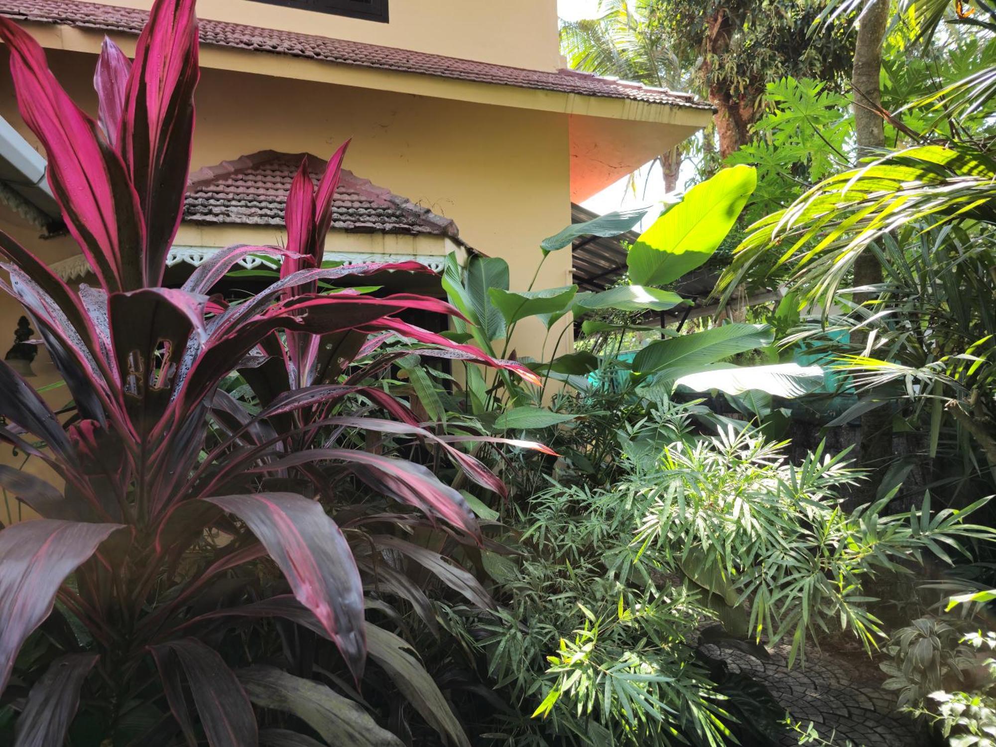 Bella Homestay Kerala Alappuzha Экстерьер фото